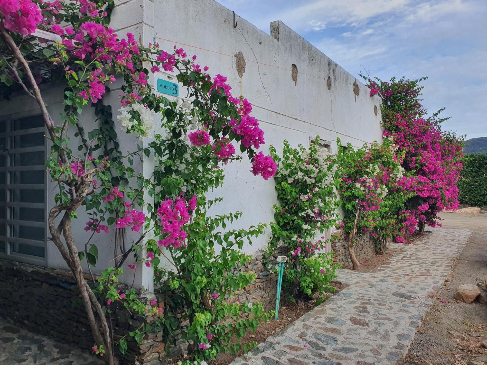 Hotel Tayrona Bahia Concha Exterior photo